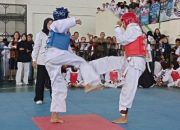 KEJUARAAN TAEKWONDO, DANLANAL CUP KEMBALI DIGELAR
