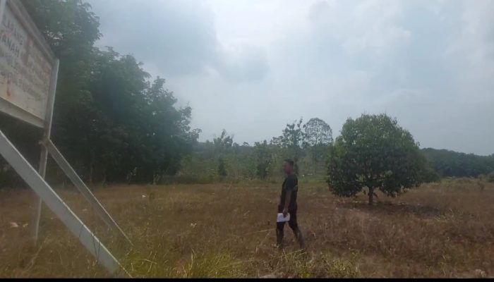 Pencaplokan 90 hektar lahan di lumbirejo,negri katon pesawaran akan dibawa ke ranah hukum