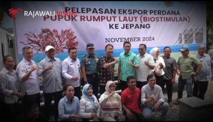Pertama Di Indonesia Pt. Agro Investama Group Ekspor Perdana Pupuk Rumput Laut Ke Jepang  